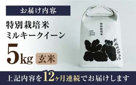 【令和6年度産】【全12回定期便】特別栽培米ミルキークイーン　5kg玄米×12回　滋賀県長浜市/株式会社お米の家倉[AQCP029] 玄米 玄米 玄米 玄米 玄米