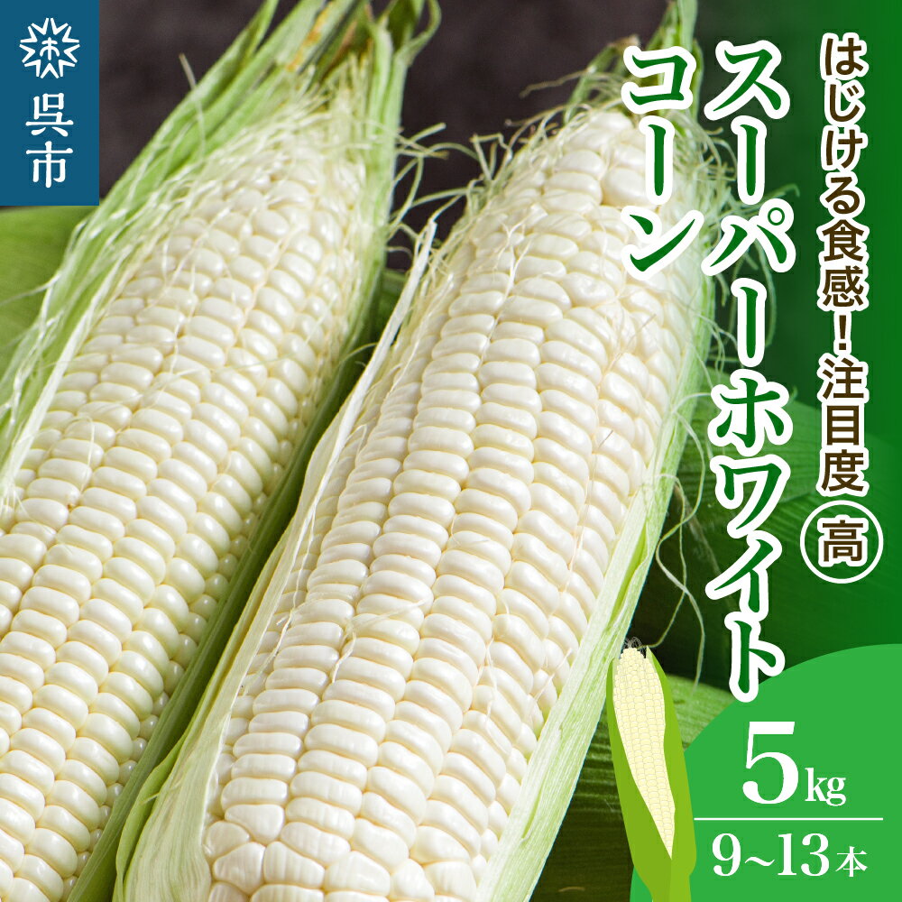 【ふるさと納税】 スーパー ホワイトコーン 白色 とうもろこし 箱込み 約 5kg 9本～13本 ≪6月中旬ごろより順次発送開始≫ 洋菓子素材工房 ぴゅあハウス 人気 品種 キャンプ飯 BBQ 生 野菜 冷蔵発送 送料無料 お取り寄せグルメ 産地直送 広島県 呉市
