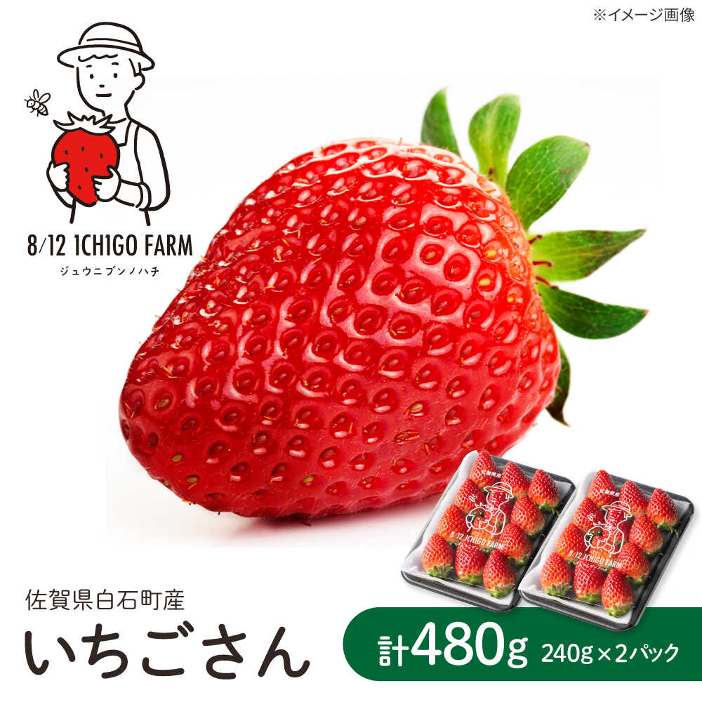 【ふるさと納税】【R8年2月以降発送】いちごさん 〈選べる容量〉 2パック or 4パック or 6パック 【8/12ICHIGOFARM】[IBR002]