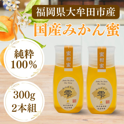 みつばちの雫　国産みかん蜂蜜　300g×2【1481076】