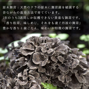 【先行予約】原木舞茸500g+舞茸三昧セット まいたけセット【tab0201】