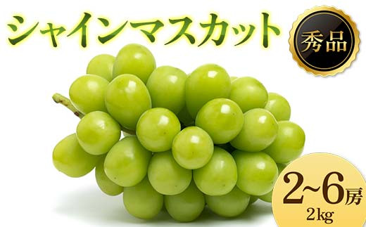 《2026年先行受付》ぶどう「シャインマスカット」 秀品 2～6房(2kg) マスカット ぶどう ブドウ 葡萄 デザート フルーツ 果物 くだもの 果実 食品 山形県 FSY-2197