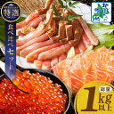 【ふるさと納税】 北国からの贈り物 豪華 海鮮 食べ比べ 総量 1kg 以上 ズワイ蟹 ポーション / アトランティック サーモン / いくら醤油漬け カニ 鮭 いくら 刺し身 カニ鍋 海鮮丼 海の幸 魚介類 海産物 大阪府 泉佐野市 冷凍 お取り寄せ お取り寄せグルメ 送料無料