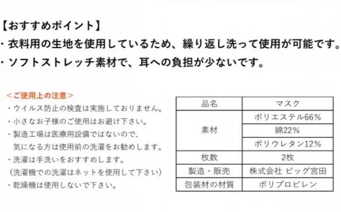 マスク エチケットマスク スモールサイズ 10枚 [ANEA007] マスク