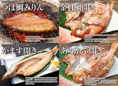 【寄附累計2.2万件突破！】高級白身魚干物 ｢百花繚乱｣ 計10枚 脂ののったワンランク上の高級白身魚厳選【丸富水産】 干物 人気干物 おすすめ干物 高評価干物 お取り寄せ干物 新鮮な干物 旬の干物 