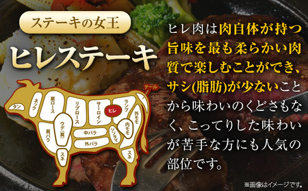 くまもと黒毛和牛 ヒレステーキ 600g (150g×4枚) 牛肉 冷凍 《90日以内に出荷予定(土日祝除く)》 くまもと黒毛和牛 黒毛和牛 冷凍庫 個別 取分け 小分け 個包装 ステーキ肉 にも ヒ
