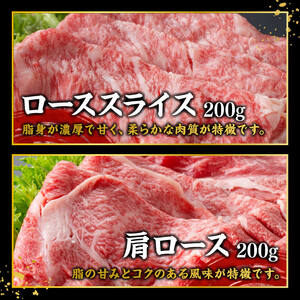 宮崎牛しゃぶしゃぶ食べ比べ4種盛 合計800ｇ【 肉 牛肉 国産 黒毛和牛 宮崎牛 すき焼き しゃぶしゃぶ 焼きしゃぶ 食べ比べ 宮崎県 川南町 】