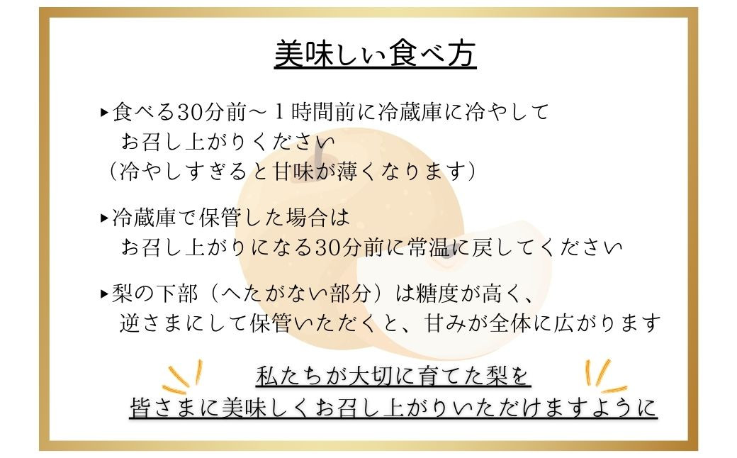 【発送時期：2026年8月上旬～10月上旬】熊本県ＪＡくま産　球磨の梨　5kg（12・14・16玉　旬な品種）