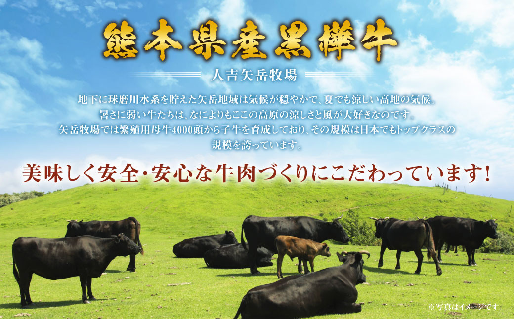 くまもと 黒毛和牛 黒樺牛 A4~A5等級 ローススライス すき焼き用 400g