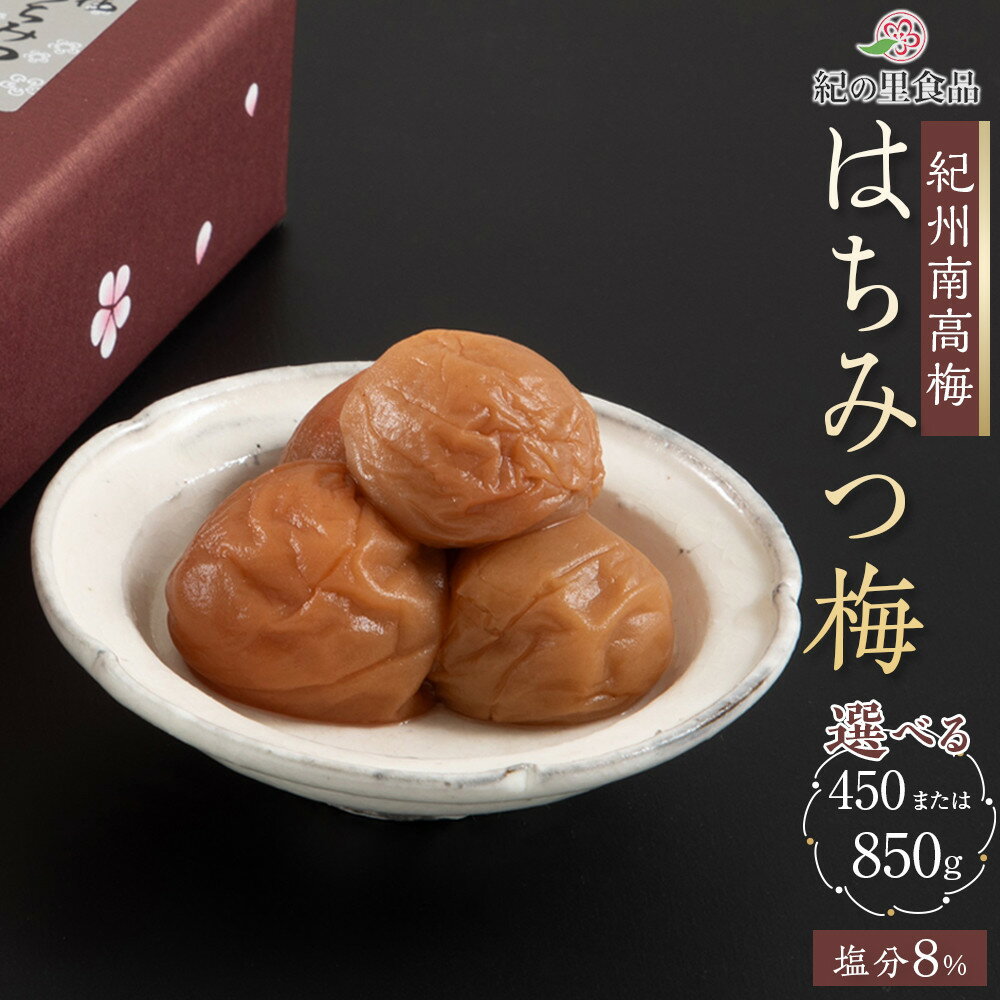 【ふるさと納税】【選べる容量】紀州南高梅 はちみつ梅 450g～850g ［Kn15］ | 梅干 食品 加工食品 人気 おすすめ 送料無料