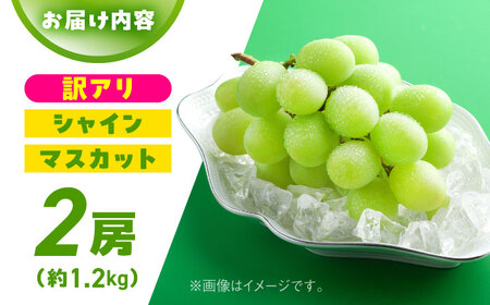 【先行予約】【訳あり】シャインマスカット　約1kg（2?3房）　【中島農園】[AYCX003]