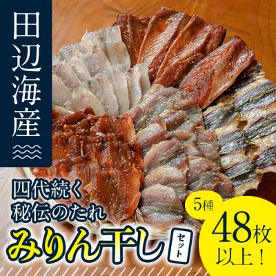 ふるさと納税 佐伯市 四代続く秘伝のたれ みりん干しセット (合計5種・48枚以上)