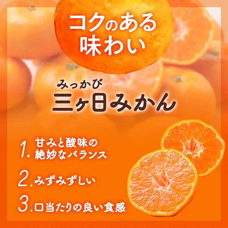 みかん 三ヶ日 糖度11度 青島 3kg L/2L 果物 みかん