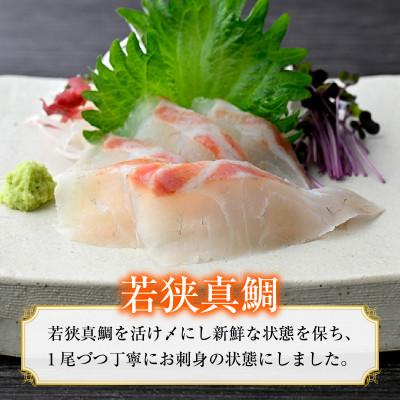 ふるさと納税 小浜市 旬鮮お刺身　若狭真鯛(5切×3パック) |  | 01