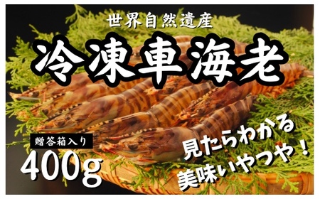 冷凍車えび 400g 贈答箱入り 活〆車海老 エビ 魚介 海鮮 人気 奄美大島 宇検村 鹿児島 