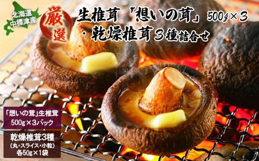 
                  「想いの茸」生椎茸と乾燥椎茸詰め合わせ 生椎茸500g×3P 乾燥椎茸50g×1袋×3種 しいたけ シイタケ 椎茸 生しいたけ 生シイタケ 乾燥しいたけ 乾燥シイタケ きのこ キノコ ふるさと納税 北海道 中標津町 中標津【29001AA0101】
                