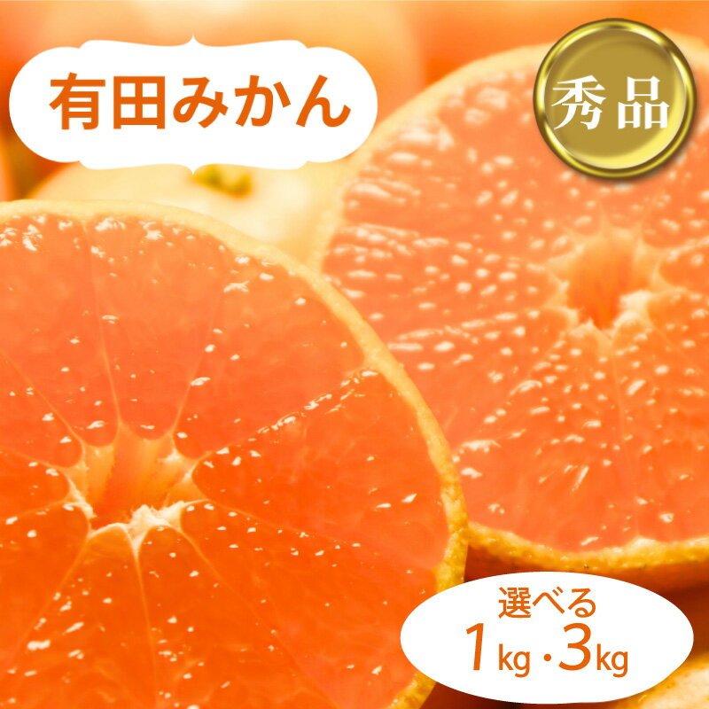 【ふるさと納税】 和歌山県産 有田みかん 秀品 【選べる容量】 1kg or 3kg ※2026年10月中旬〜2027年1月中旬頃に順次発送予定（お届け日指定不可) ミカン 和歌山 有田
