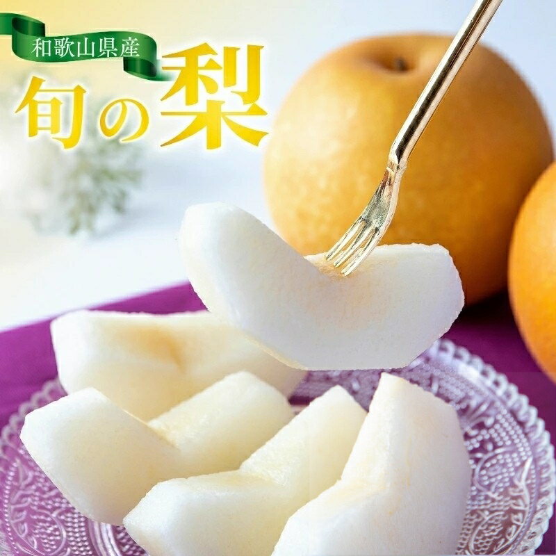 【ふるさと納税】 【先行予約受付】和歌山県産の美味しい 梨 / なし 果物 フルーツ 和歌山県 ※8月中旬～9月中旬頃順次発送 ※離島への配送不可