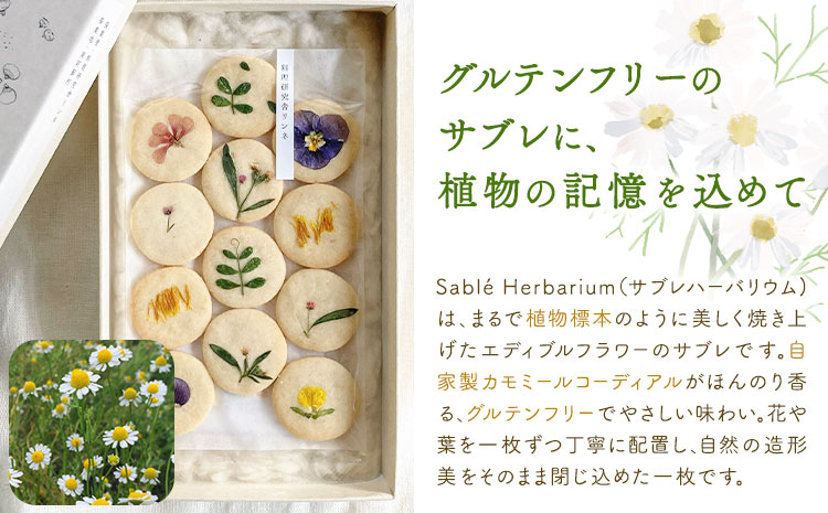 Box Sablé Herbarium サブレ12枚 米粉菓子2種 料理研究舎リンネ《30日以内に出荷予定(土日祝除く)》熊本県 南阿蘇村 サブレハーバリウム サブレ グルテンフリー 米粉 エディブル