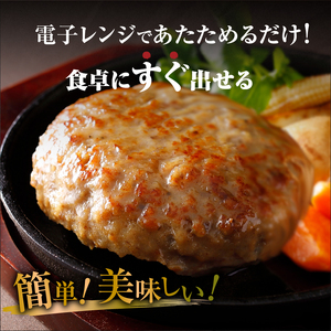 ハンバーグ 16個 ハンバーグ 浜中牛 ホエイ豚_H0019-100　