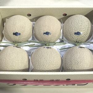 静岡県磐田市 クラウンメロン 白等級 約1.3kg×6個【配送不可地域：離島・北海道・沖縄県】【1640740】