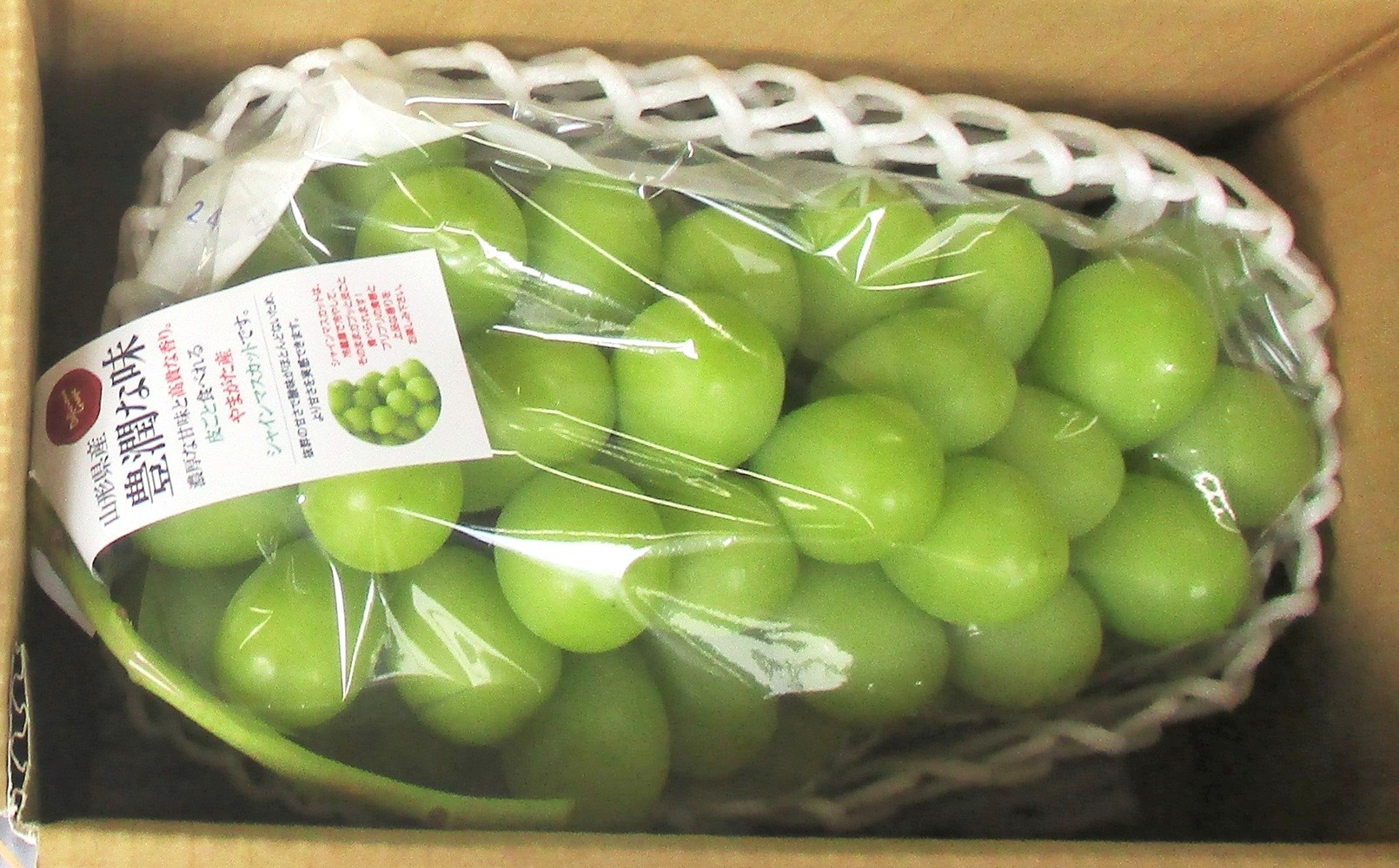 
                  ぶどう（シャインマスカット）大房１房（１ｋｇ以上）　0025-2609
                