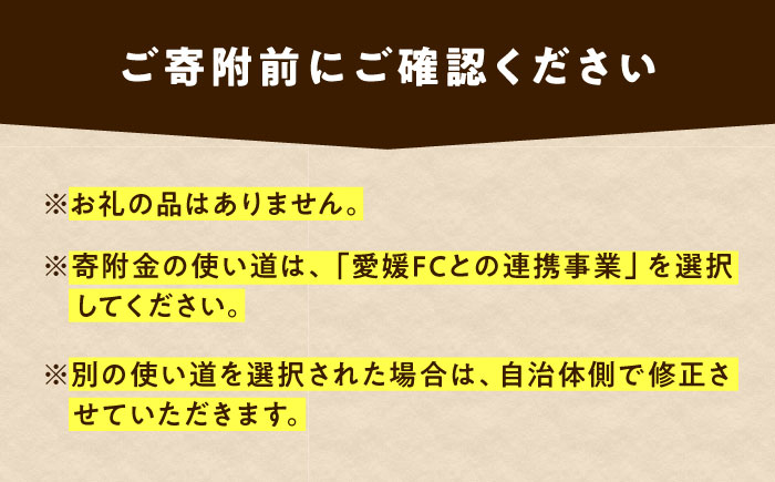 支援 えひめまるごと活性化プロジェクト 愛媛FC連携事業 1,000円【返礼品なし】 / ふるさと納税 寄附 支援 愛媛FC 連携事業 1000円 地方創生 まちづくり / 愛媛県砥部町/砥部町 [B