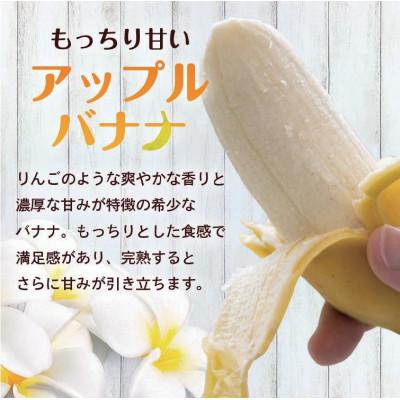 ふるさと納税 糸満市 【産地直送】 南国フーズ アップルバナナ 1kg〜1.2kg |  | 01