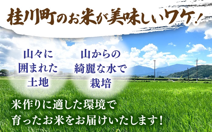  令和6年度産 福岡県桂川町産夢つくし　白米