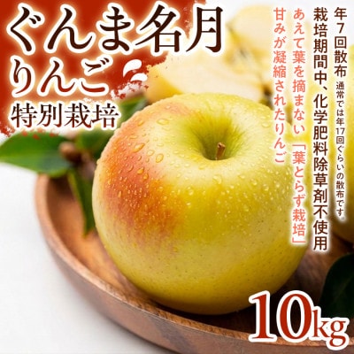 【甘みの強い黄色りんご】ぐんま名月 10kg 1セット【1779853】
