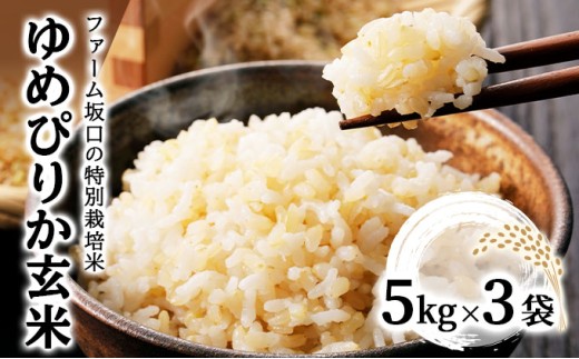 【玄米】《令和8年産》お米 ゆめぴりか玄米 15kg (5kg×3袋)｜米 北海道 岩見沢市 ファーム坂口の特別栽培米 15kg (5kg×3袋)