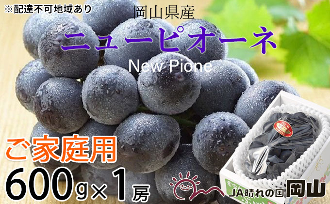 ぶどう 2025年 先行予約 ご家庭用 ニュー ピオーネ 約600g×1房 ブドウ 葡萄  岡山県産 国産 フルーツ 果物