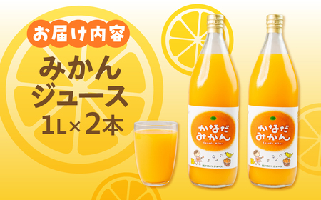 100% みかんジュース 1L × 2本 みかん 渥美半島産