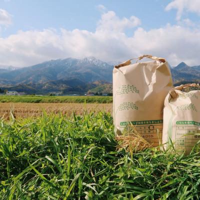 ふるさと納税 富良野市 令和7年産米　富良野産　栽培期間出来るだけ農薬を減らして作った　ななつぼし　10kg |  | 02