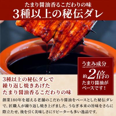 ふるさと納税 島田市 先行受付　【6月上旬より配送】　大五のうなぎ蒲焼　800g(160g×5尾)　国産うなぎ(大サイズ) |  | 02