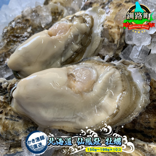 ＼先行予約／北海道 仙鳳趾産 牡蠣 150g～199g×10コ＋かきナイフ付きかき漁師直送 K1-6＜出荷時期：2025年10月1日ごろ～順次出荷予定＞＜センポウシ : 釧路町の東 厚岸湾の西 カキの名産地＞ 釧路町 釧路超 特産品