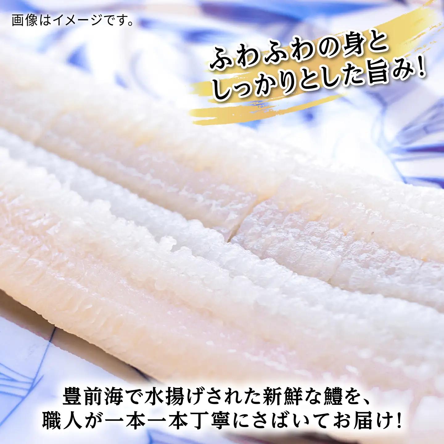 はも 一本 約1.2kg 4~5人前 VAL001 鱧しゃぶ 鱧刺身 はも