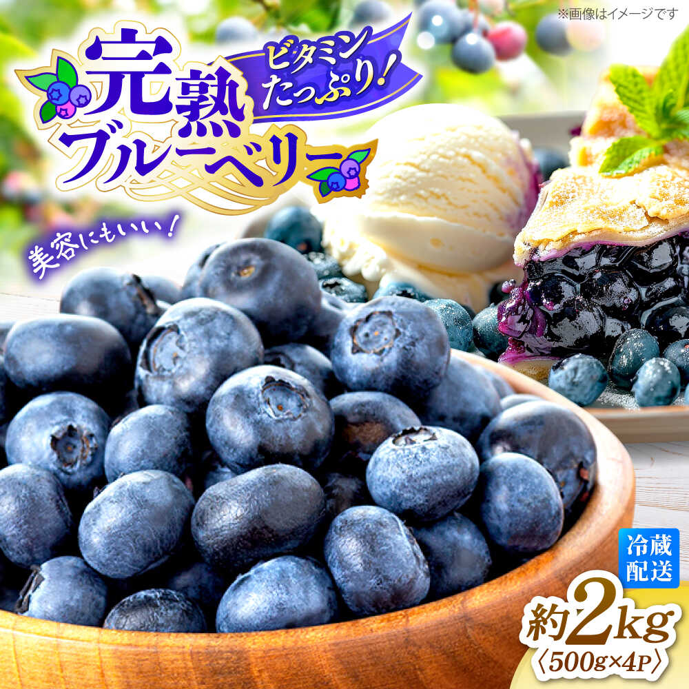 【ふるさと納税】【6月中旬より順次発送】【栽培期間中 農薬不使用】完熟 ブルーベリー 約2kg（500g×4パック）＜広津農園＞ [CBN009] ブルーベリー 完熟 果物 フルーツ 冷蔵