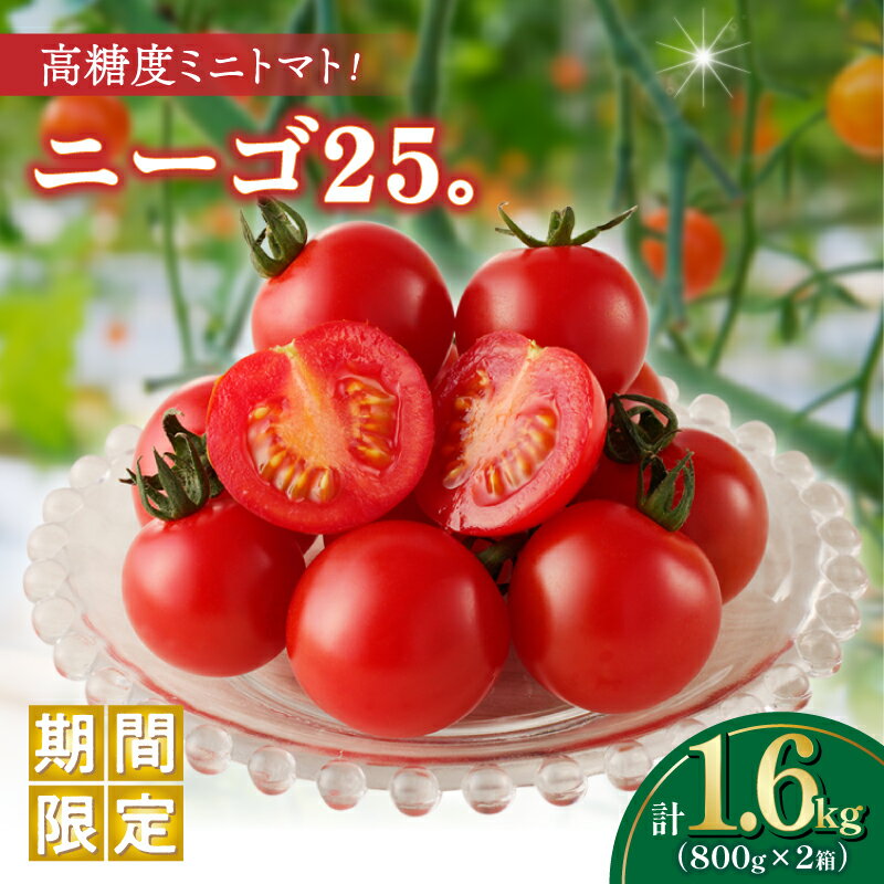 【ふるさと納税】期間限定 高糖度 ミニトマト ニーゴ25。 計1.6kg とまと 野菜 サラダ 国産 フルーツトマト 新鮮 お土産 期間限定 産地直送 甘い 濃厚 パリッと食感 おやつ おすすめ リコピン お取り寄せ グルメ 宮崎県 都農町 送料無料