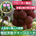 【ふるさと納税】【2025年先行予約】2025年9月下旬発送「幻の牧丘天空クイーンニーナ」 約1kg(2～3房)【配送不可地域：離島・沖縄県】【1473342】