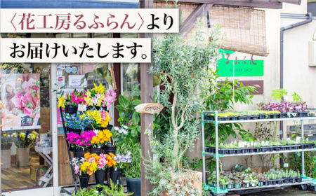 【6回定期便】【記念日にはバラを送ろう】バラの花束（オレンジ）＜花工房るふらん＞ [CCR030]