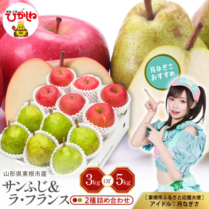 【ふるさと納税】 2026年産 サンふじ ラフランス 2種 詰め合わせ ( 選べる : 3kg / 5kg )| りんご リンゴ 林檎 秋 旬 西洋梨 洋梨 なし フルーツ 果物 くだもの 先行予約 人気 おすすめ お取り寄せ 産地直送 東北 山形県 東根市