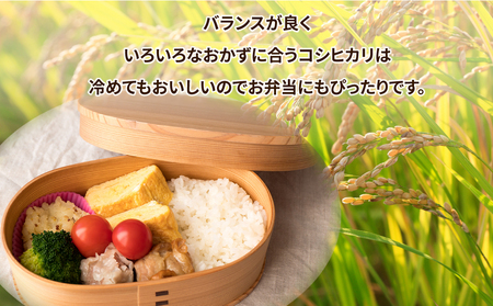 【定期便 3ヶ月】令和5年産　土浦市産 コシヒカリ　精米5kg　ホタルが舞う里のお米 ※離島への配送不可