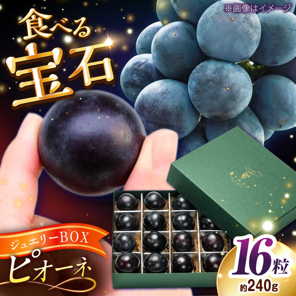 【ふるさと納税】【先行予約：2026年8月下旬より発送】【数量限定】贈り物におすすめ！ピオーネ・ジュエリーBOX 16粒(約240g) 島根県雲南市/ギアファーム[AIAB020]