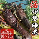 【ふるさと納税】【漁師直送】室戸沖（活）伊勢海老　5kg　10〜25尾 〈お刺身・お鍋などにおすすめ〉 天然 国産 魚介 海鮮 惣菜 送料無料