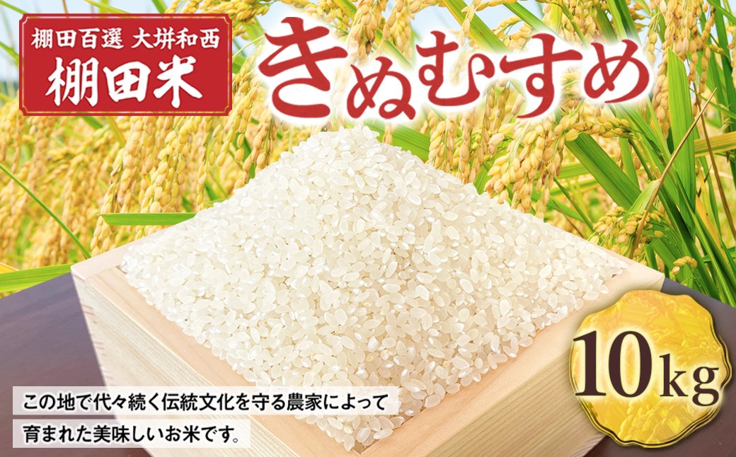 
            棚田百選 大垪和西 棚田米 10kg （ きぬむすめ ）×1袋 ／ 白米 米 岡山県 美咲町
          