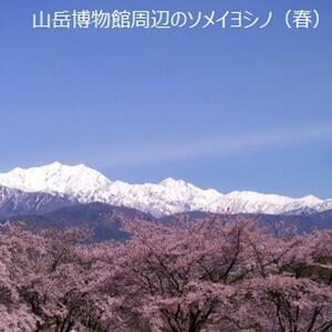 【大町温泉 北アルプス 立山 黒部/大町市】JTBふるさと旅行券（900,000円分）有効期間5年 | 予約 宿泊 観光 体験 温泉 ホテル 旅館 チケット 子供 子連れ カップル 家族 店頭 電話 