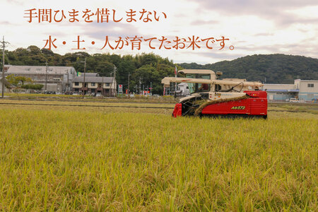 令和7年度 もち米 玄米 10キロ 数量限定 減農薬栽培 もち米