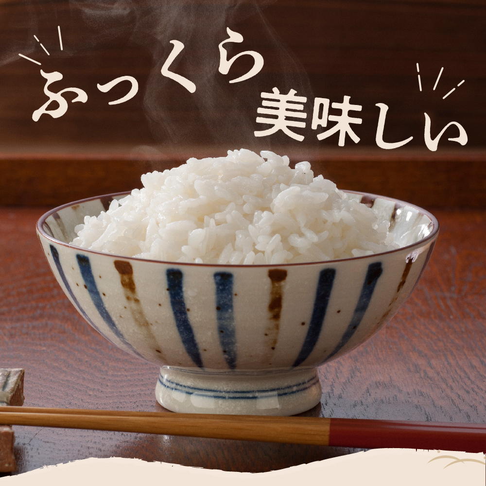 【2025年2月中旬発送】令和6年産 新潟県矢代産コシヒカリ5kg