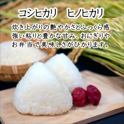 ふるさと納税 松浦市 須藤邦寿園の白米 コシヒカリ又はヒノヒカリ 5kg |  | 01